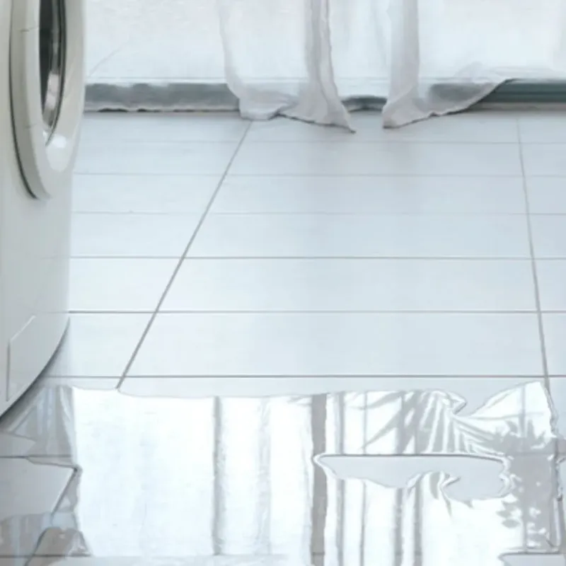 Appliance Leak Cleanup in Inwood, FL